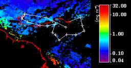 10 Feb - 17 Feb 2001